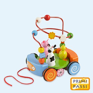 Primi Passi