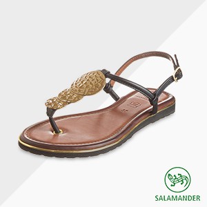 Salamander