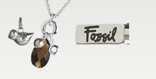 Fossil
