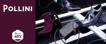 Pollini