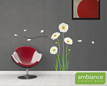 Ambiance Live