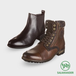 Salamander