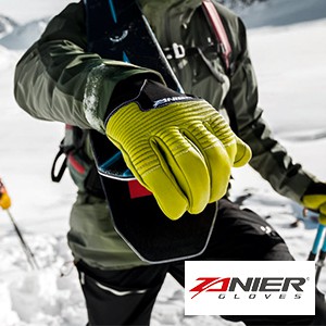 Zanier